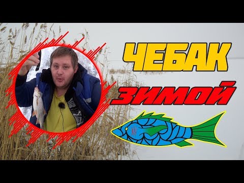Ловля плотвы в Сибири