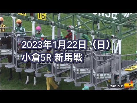 2023年1月22日（日）小倉5R 3歳新馬レース映像【ベレザニーニャ】