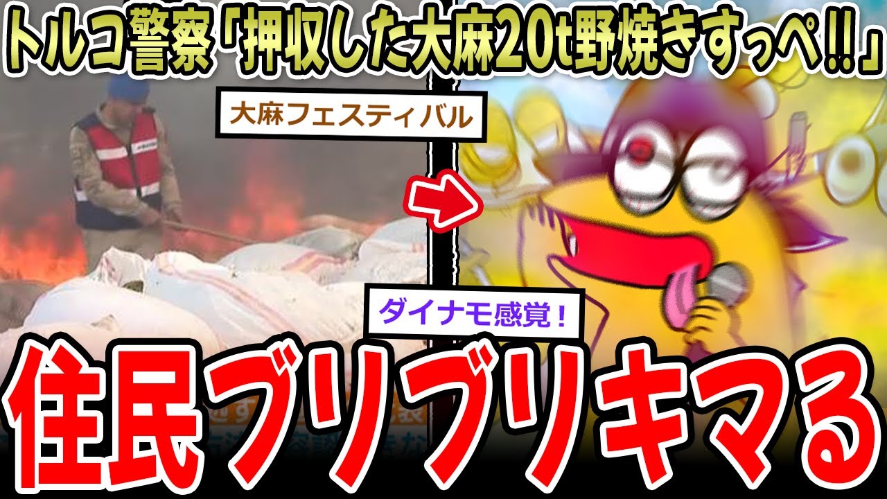 【草】トルコ警察「押収した大麻20㌧野焼きすっぺ‼」⇒住民がブリブリにキマる【2ch面白いスレ】