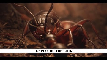 Empire of the ants - Demo gameplay