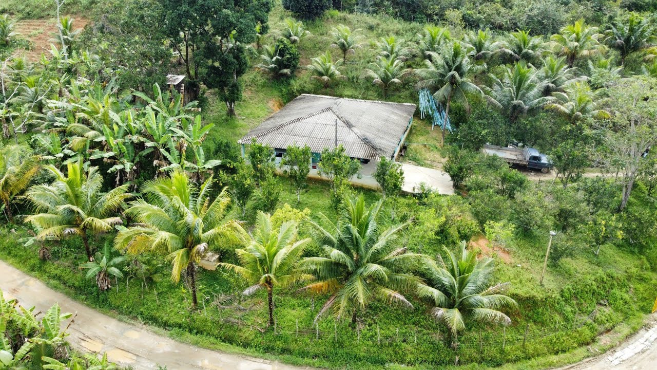 lindo sítio em Serro azul palmares 17.5 hectares casa muito boa água energia internet $350 mil