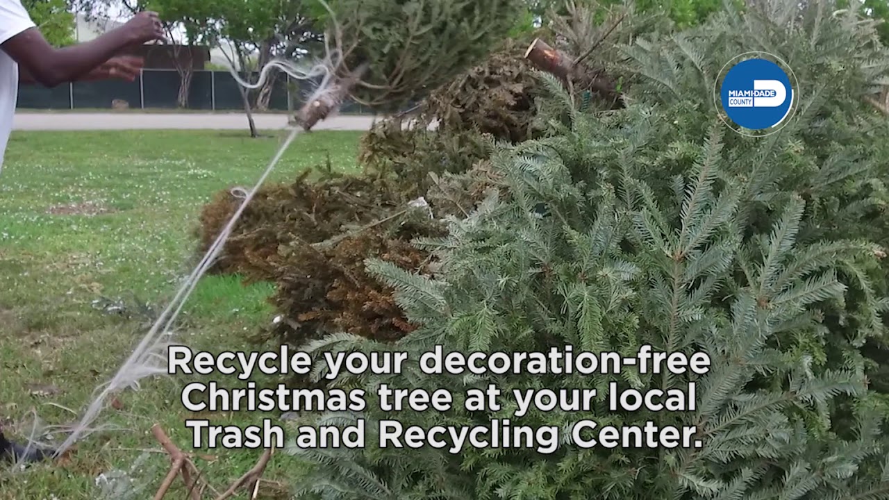 Christmas Tree Recycling 2020 YouTube