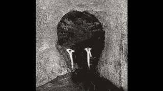 The Devil Wears Prada - Color Decay (instrumental Only) - Full Album 2022 [2.5]