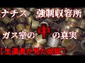 【アウシュヴィッツ】ガス殺は安楽死か？誰も知らないガス室の中で起きたこと。