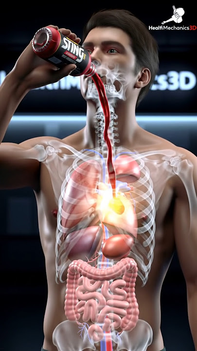 What Sting Energy Drink Does Inside Your Body😱 #StingEnergyDrink#3DAnimation#HumanBody3D