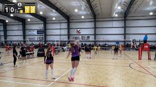 NIVA 16 Purple v Ultimate G16 Gold
