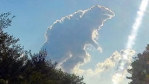 Unusually shaped clouds that look like other things