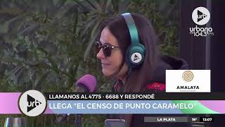 Censo de #PuntoCaramelo | Brindamos con Amalaya