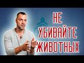 Это невероятно! Арестович призвал прекратить убивать ... животных. Похоже, что он вегетарианец.