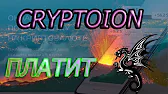 Дроникс Говорит Правду Заработок в Интернете