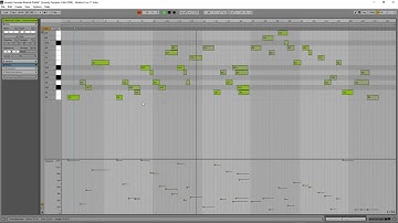 Insanity Samples - Beatnik Fiddle - First Ever Encounter