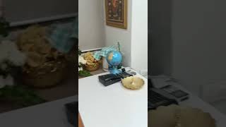new office opening