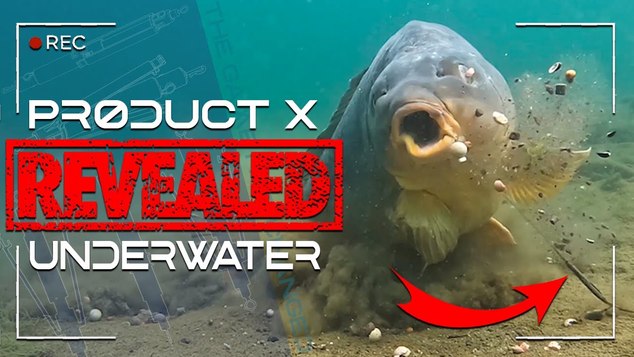 Product X Revealed Underwater, The Magic Twig, Carp Fishing, Ali Hamidi