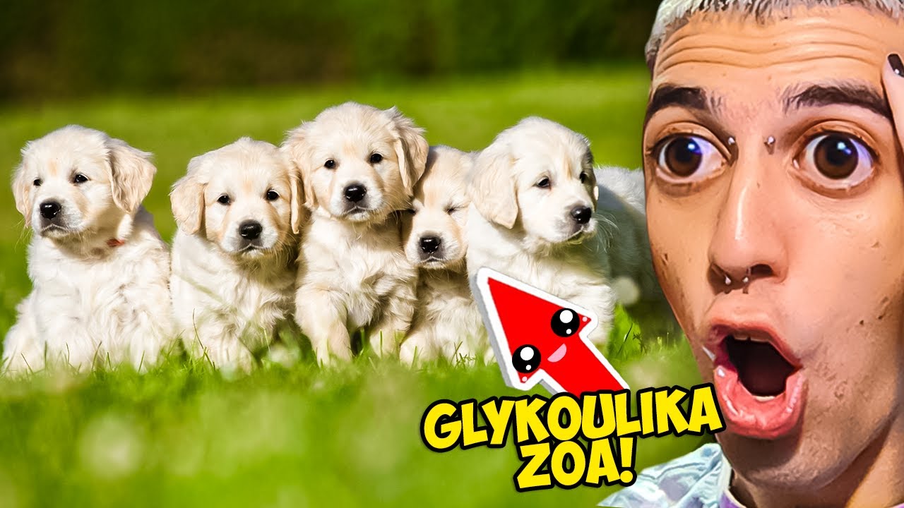 Τα Πιο Γλυκά ΖΩΑ!