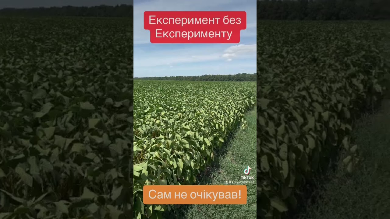 Випадковий експеримент!