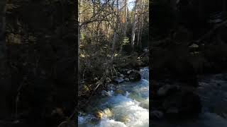 Горный релакс #nature #travel #природа #mountains #природа_россии