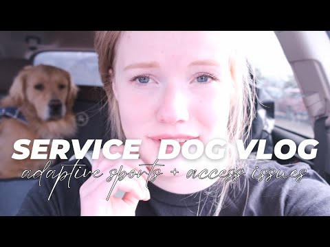 Taekwondo with a Wheelchair ♿️ + Service Dog Access Issue 🫤