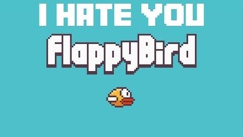 I HATE YOU FLAPPY BIRD !!!