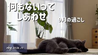 猫とパンと、何もない休日｜のんびり過ごした9月の家時間