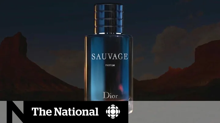 Dior's 'racist' ad pulled amid online backlash - DayDayNews