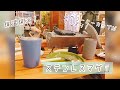 スイデコ北見みわ店　おすすめ商品紹介【ステンレスマグ】
