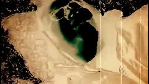 Aggression/Assertion PSA