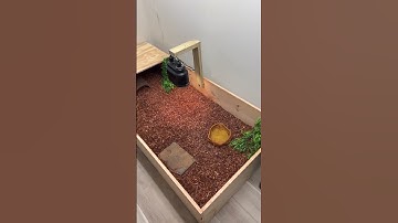 Homemade ￼Tortoise Enclosure￼ #animals #reptile #tortoise #shorts