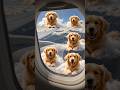 Clouds transform into fluffy shapes of golden retrievers.