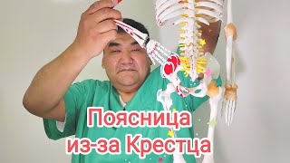 Боль в Пояснице? из-за Крестца Как себе помочь?