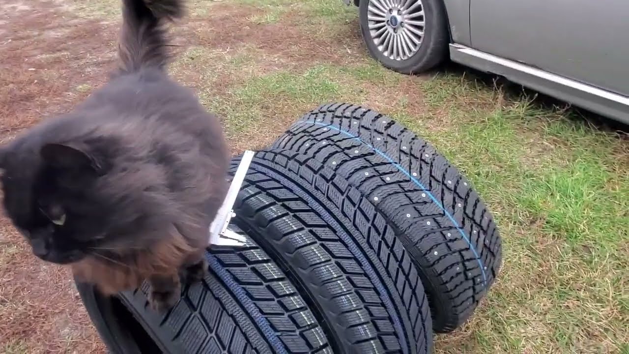 Покупка зимней резины белшина в г. Бобруйск, обзор 2024 года выпуска