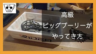 【RIDEA】マニアックなオーナーによるビッグプーリー解説【KCNC】