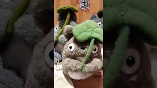 TOTORO PLUSH CUTENESS OVERLOAD #shortvideo @marivicurolaza8474