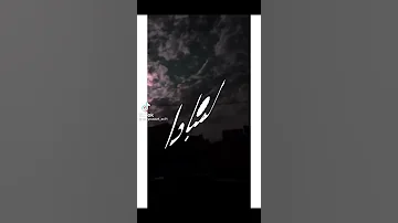 بنت حياتي بسكوت لمبادا 