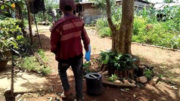 Lvt cười không nhạt được mồm(1)