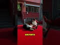 "Estambul es la ciudad de los gatos" 🐱