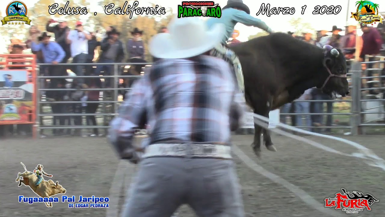 LA CAPITAL DEL JARIPEO COLUSA CALIFORNIA PRIMER JARIPEO DEL 2020 YouTube