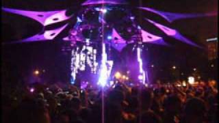 Lollapalooza 2009 Day 2 : Bassnectar Techno at Perry's Stage Wealth
