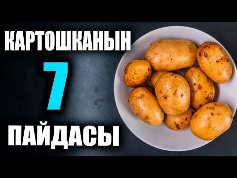 Video: Картошканын келечектүү түрлөрү