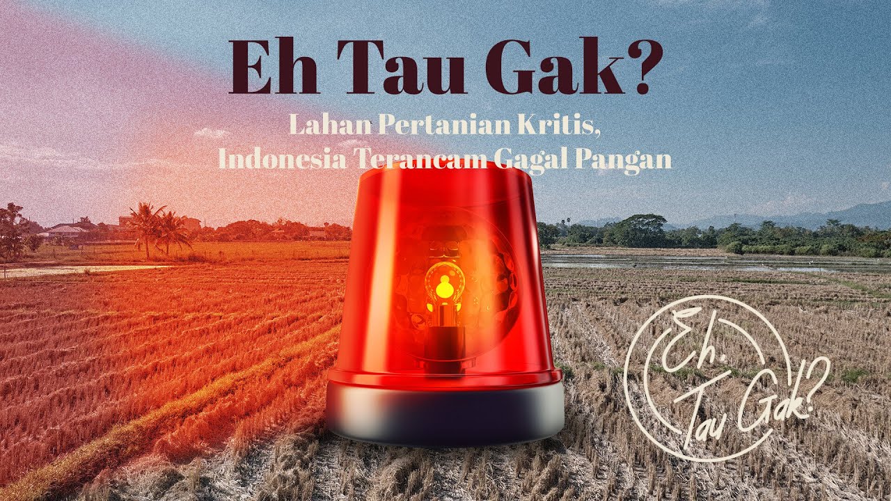 EH TAU GAK? LAHAN PERTANIAN KRITIS, INDONESIA TERANCAM GAGAL PANGAN