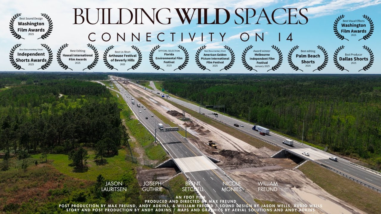 Building Wild Spaces, Connectivity on I-4