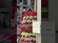 2026年5月5日 ラ・フォル・ジュルネ TOKYO 2026.最近CDデビューしたばかりという、大久保瑠名さんの演奏🎻