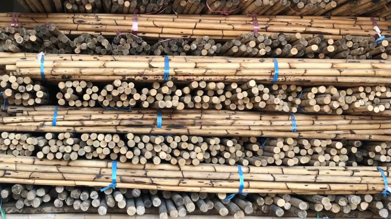 Cricket Bat Handle Making | 