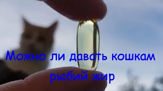 Можно Ли Давать Кошкам Рыбий Жир Can Cats Eat Fish Oil?