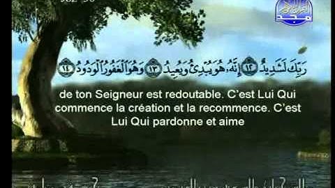 سورة البروج الشيخ السديس والشريم