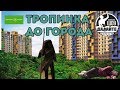 Давайте Разберёмся - ЖК Пригород Лесное