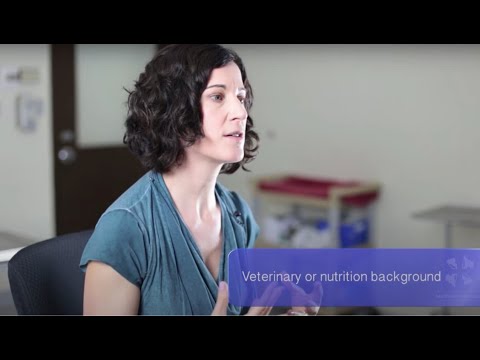 वीडियो: कुत्तों के लिए चिकित्सीय आहार