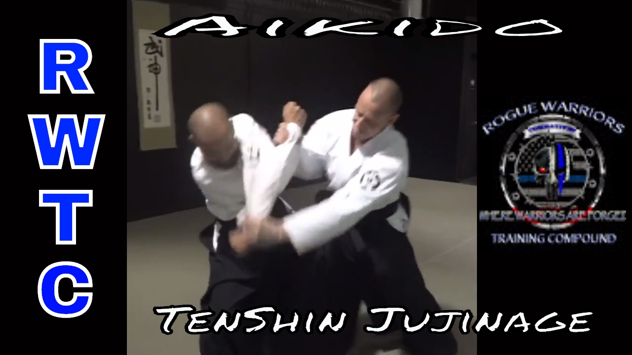 Блокировка рук Джуджинаге - Теншин Айкидо #takeaikidoback