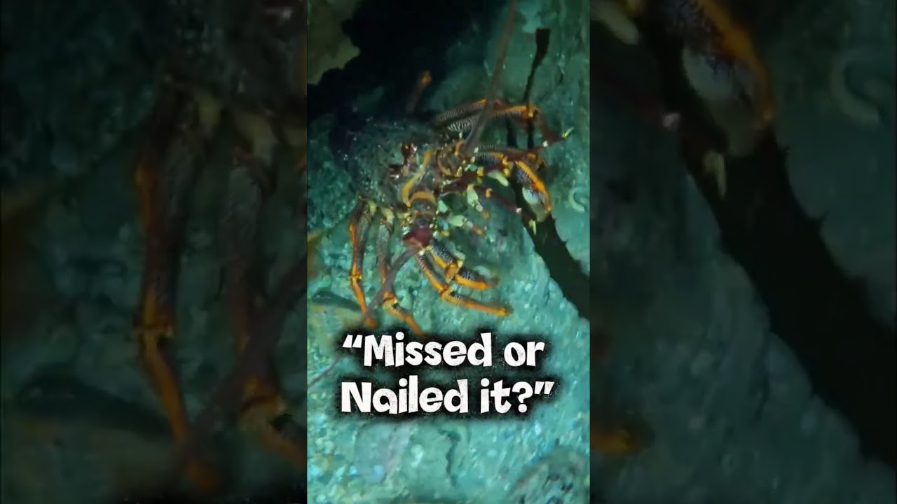 Did I Nail It… or Blow It? 👀 Cray Dive Gone Wild