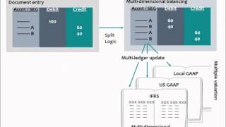 SAP Financial Accounting (FI) New General Ledger Document splitting