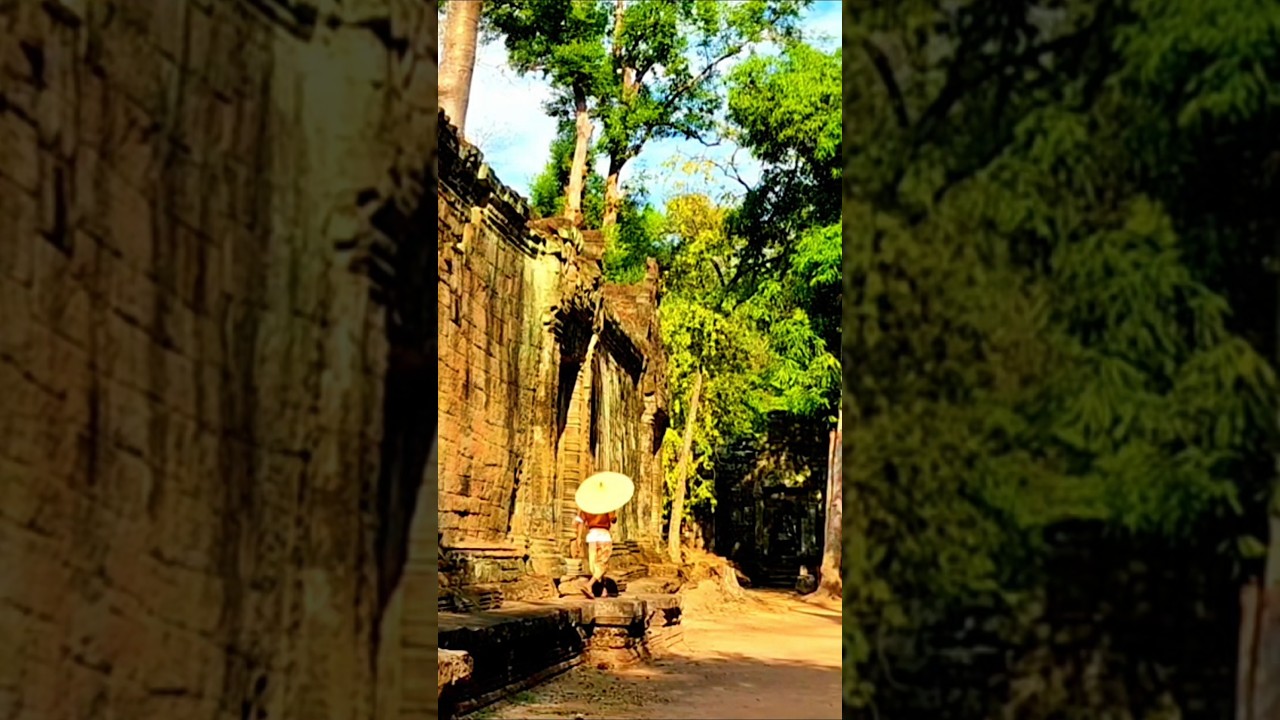 Ancient Cambodia 🇰🇭 #cambodia #travel #siemreapvibes #letmeshowyoucambodia